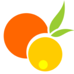 orange and leaf logo